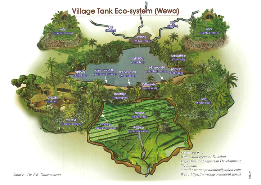 village tank eco